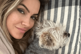 Chrishell Stause dog