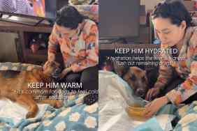 Video of senior dog’s post vet visit routine.