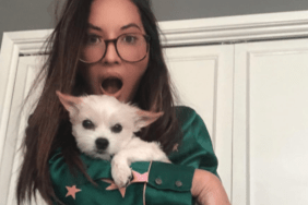 Olivia Munn's Dog Frankie