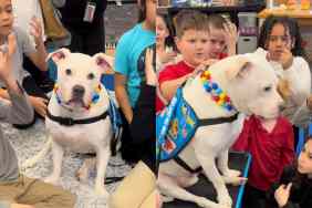 Video of deaf therapy dog being sung to in sign language.