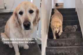 Dog making noise in viral video