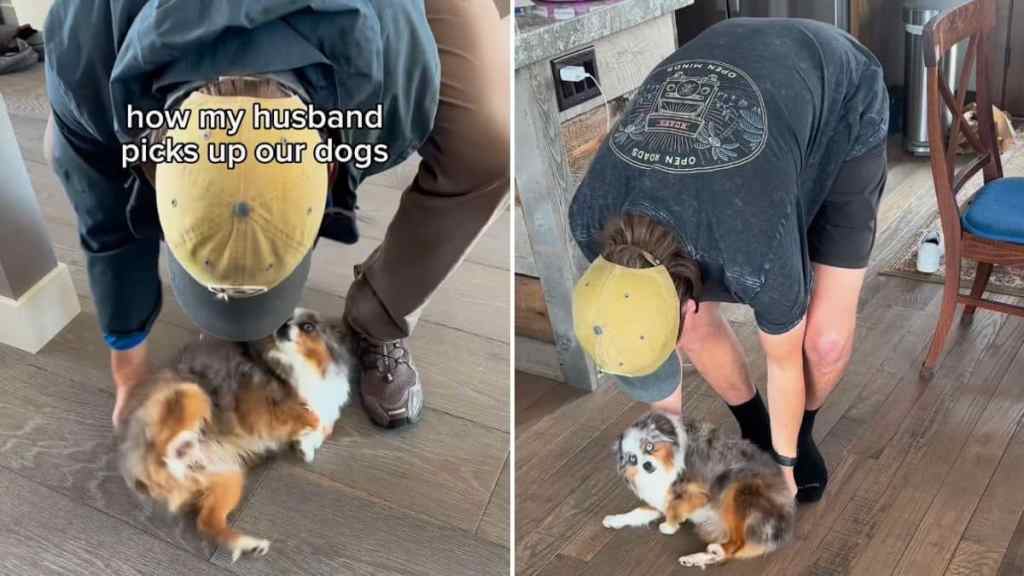 dog dad potato scoop