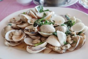 A closeup photo of stir fried clams, which dogs can eat if prepared correctly.