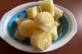 A closeup photo of a white and blue plate with cooked cassava or yuca, which is safe for dogs to eat when cooked properly.