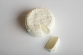 A closeup photo of fresh goat cheese, which can be safe for dogs to eat in moderation.