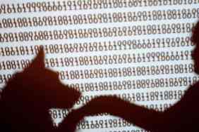 A dog paws at a person in a programming world. dog ChatGPT prompt