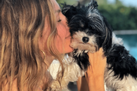 Tom Brady's Dog Fluffy