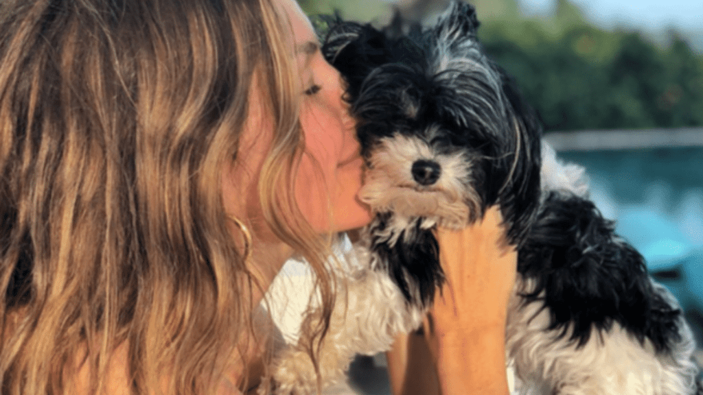 Tom Brady's Dog Fluffy