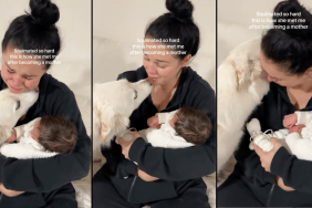 dog owner first meeting video