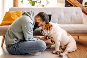 Best Dog Breeds for Single Men