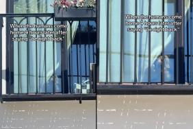 dog owner come home video