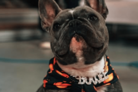 JuJu Smith-Schuster's Dog Boujee