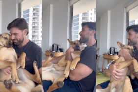 rescue dog baby video