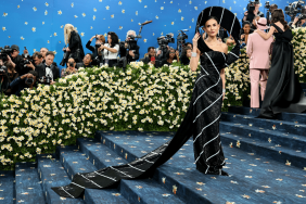 Demi Moore dog Met Gala outfit