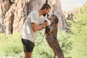 Michael Phelps' Dog Onyx