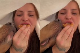 dog owner eating video