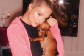 Paris Hilton's Dog Zuzu