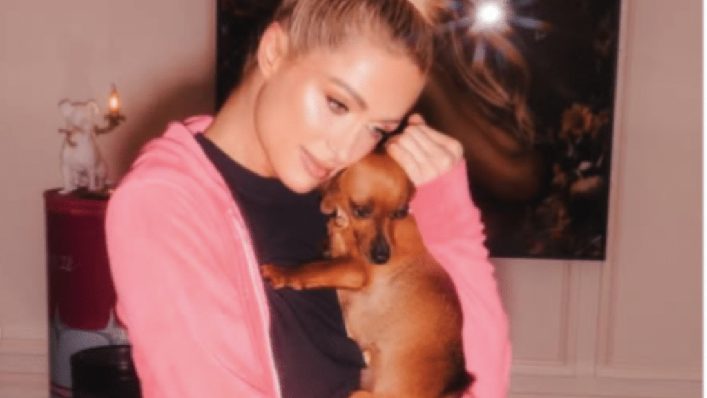 Paris Hilton's Dog Zuzu