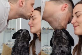dog owner husband video