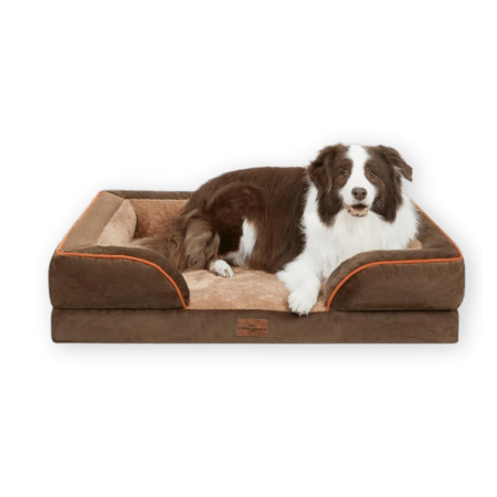 Comfort Expression Large Dog Bed