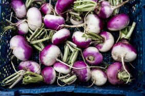 High angle close up of a crate with freshly picked white and purple turnips.