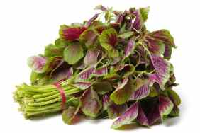 Amaranth on white background