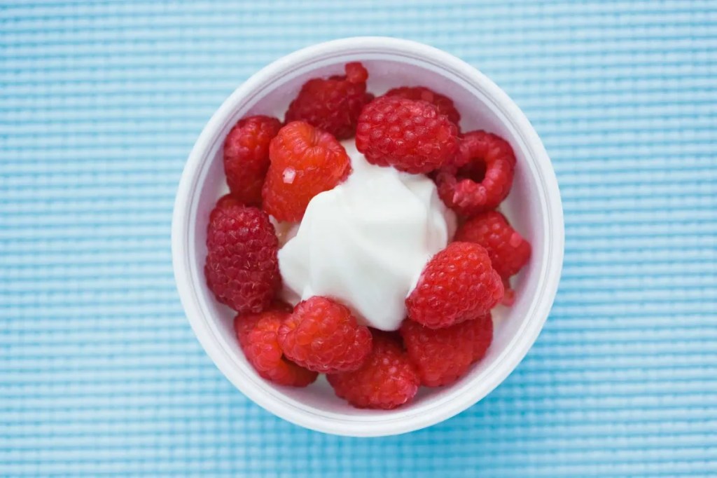 A photograph of a bowl of frozen yogurt, which dogs can eat safely in moderation.