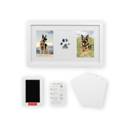 Green Pollywog Paw Print & Nose Print Kit