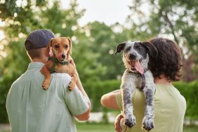 Best Dog Breed for Every Zodiac Sign