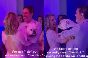 Bulldog wedding video