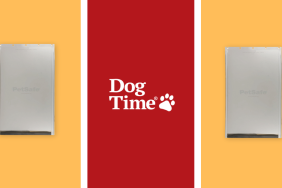 PetSafe Original Replacement Flap