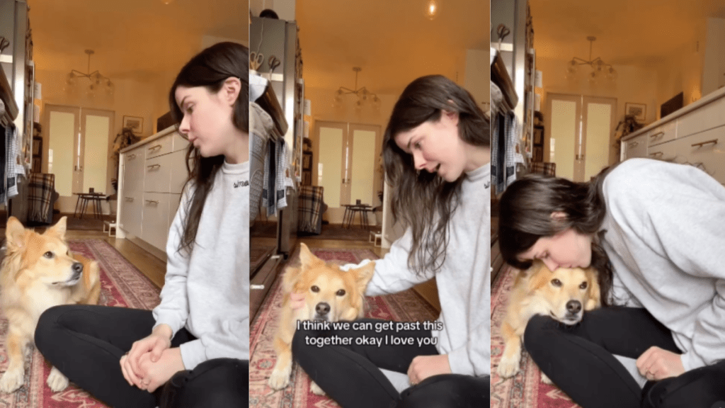 owner parenting dog video