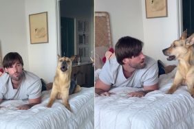 Instagram video shows what rescue dog does when owner copies him