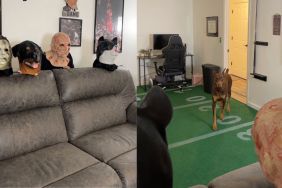 Owner tricking Doberman with a mask results in hilarious video