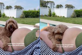 Doodle rests near pregnant mom's baby bump in adorable viral dog video