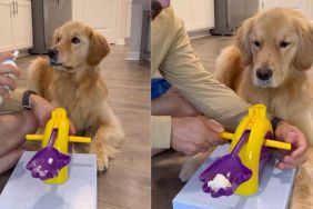 Dog masters pup cup catch in funny viral video