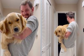 Sleepy dog has to be carried to bed by dad in cute video