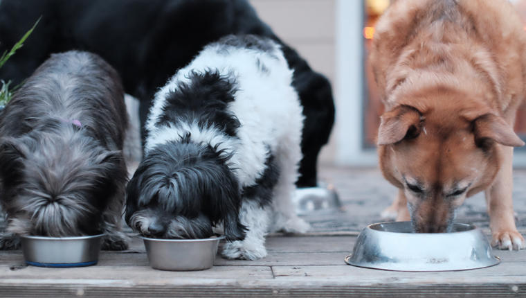 National No One Eats Alone Day