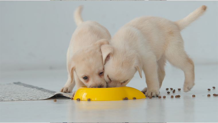 National No One Eats Alone Day