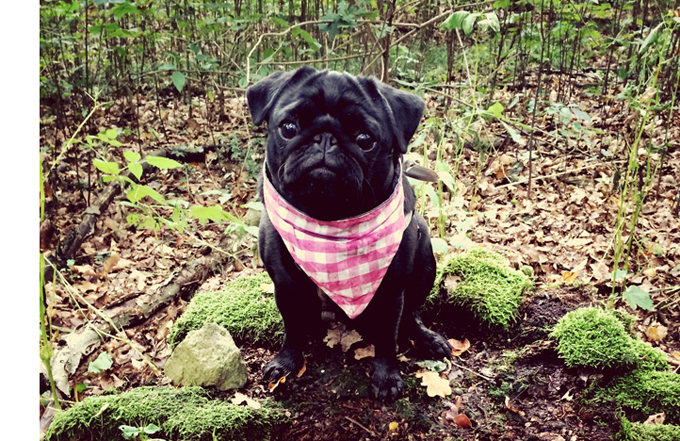 International Bandanna Day 