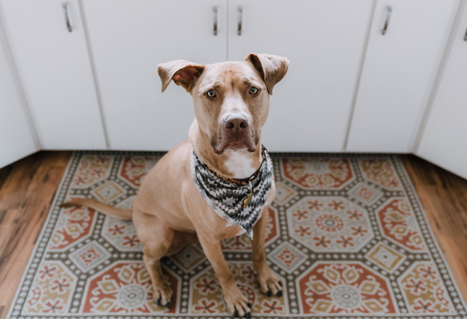 International Bandanna Day 