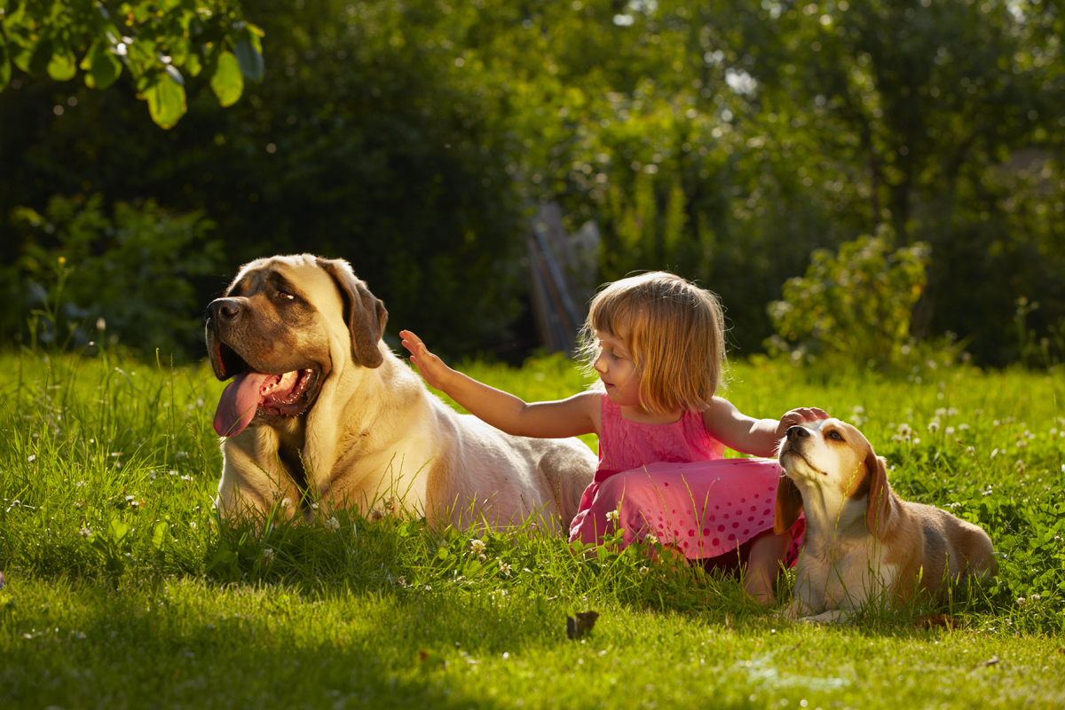 Kids & Dogs