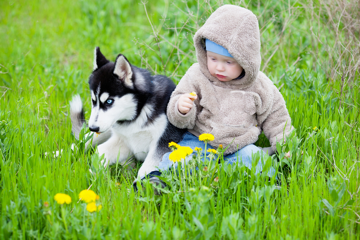 Kids & Dogs