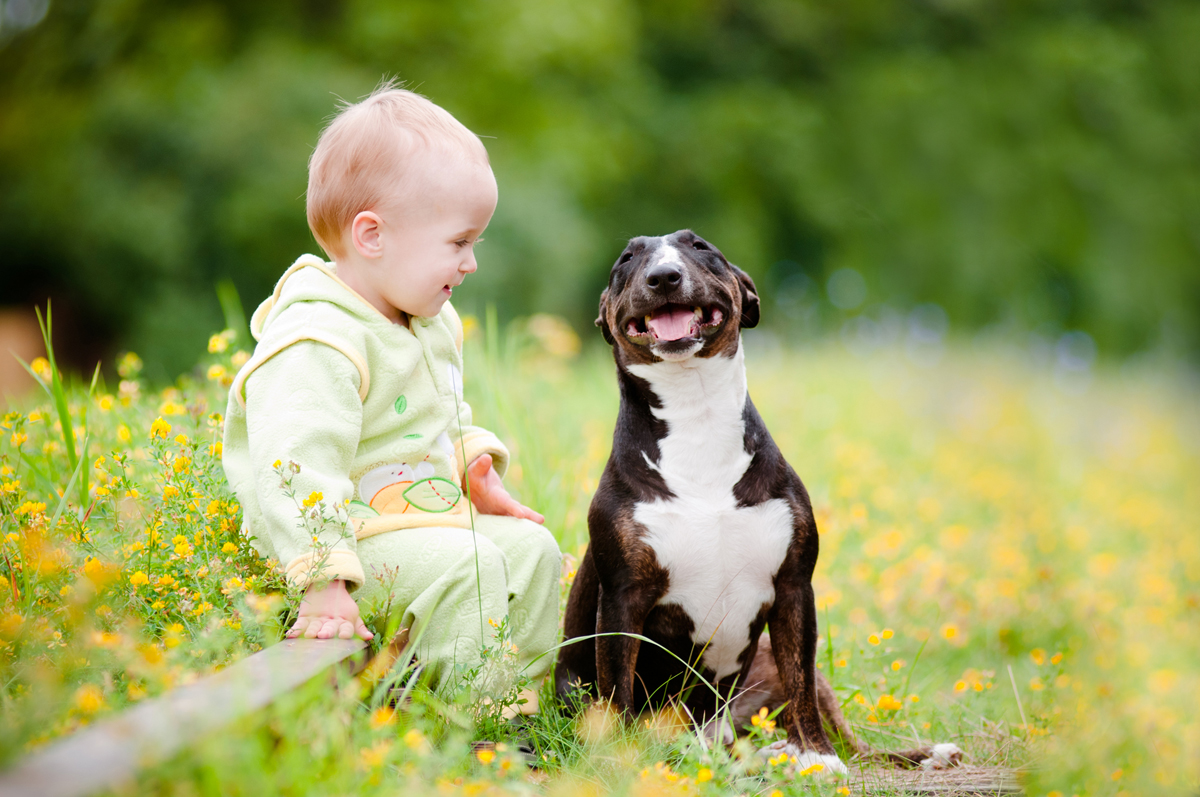 Kids & Dogs