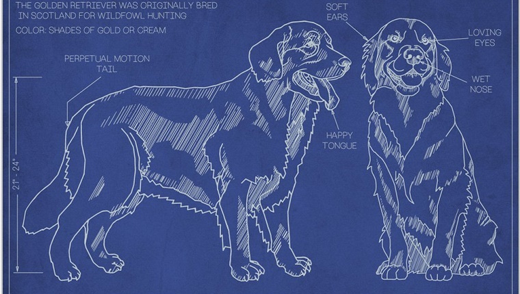 Personalized Dog Blueprints