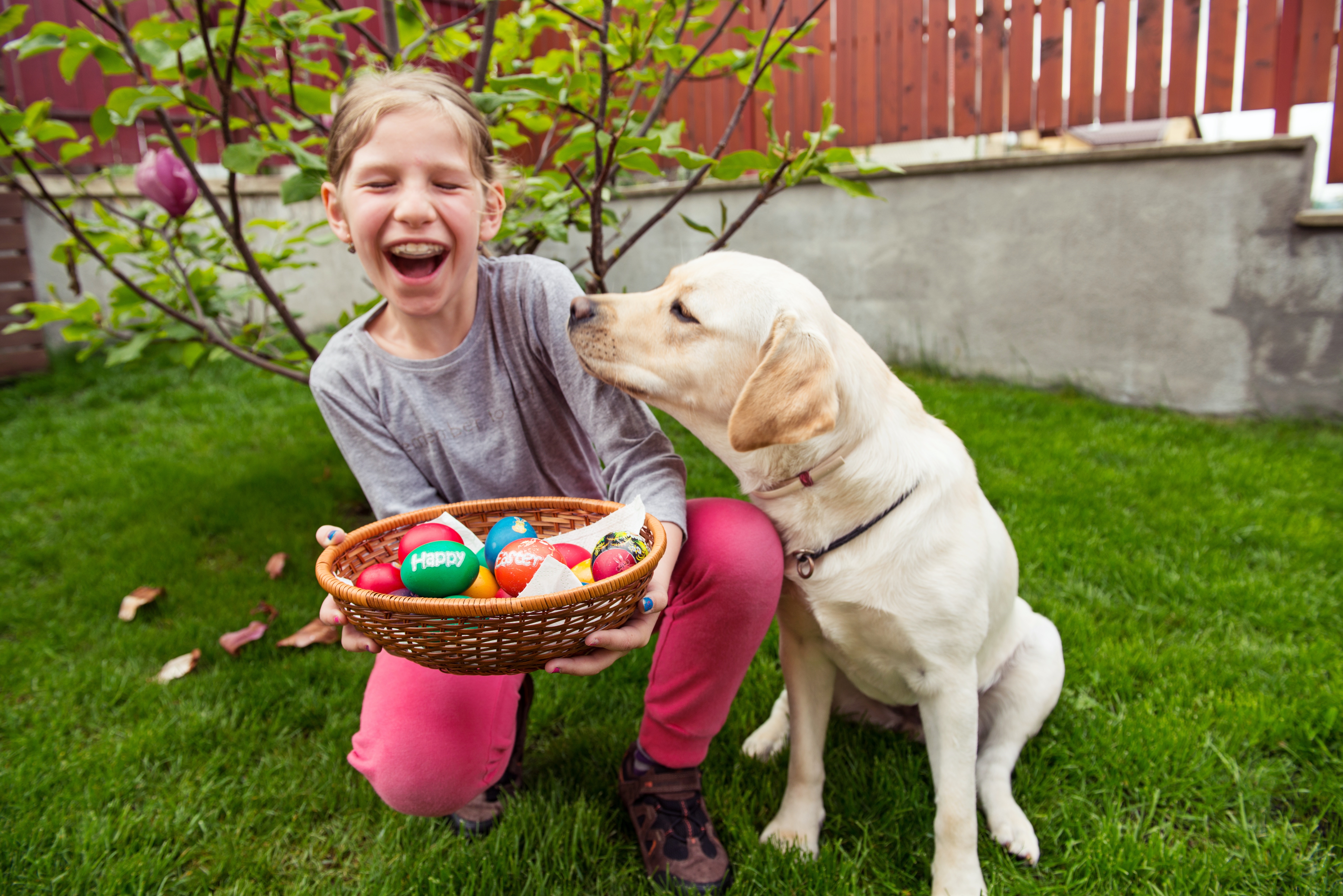 Easter Dog And Puppy Pictures