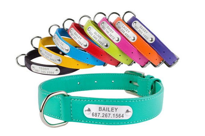 Personalized Dog Collar