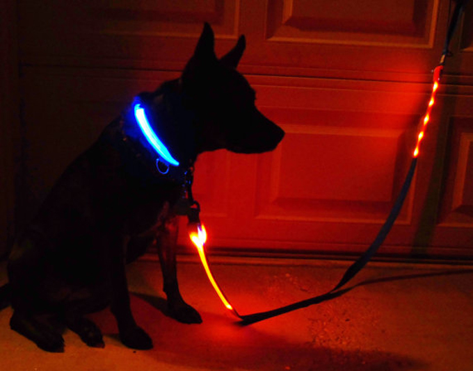 Glow Dog Collar