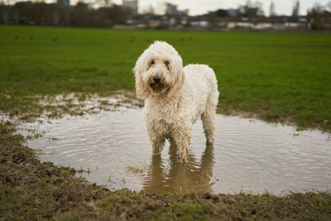 I may need a bath. 