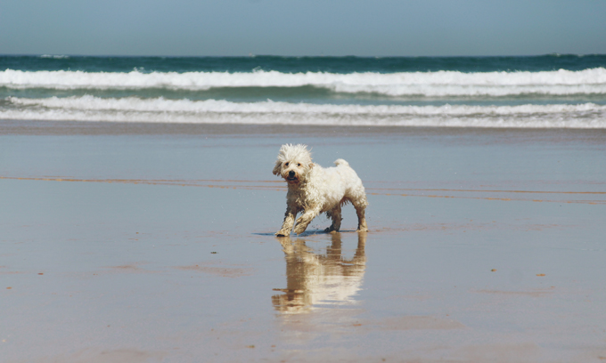 Loving the beach! 